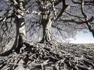 Avebury #04