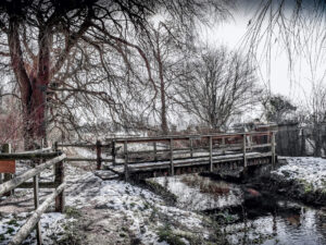 Witney #02