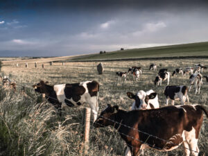 Avebury #10