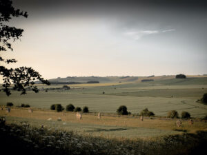 Avebury #11